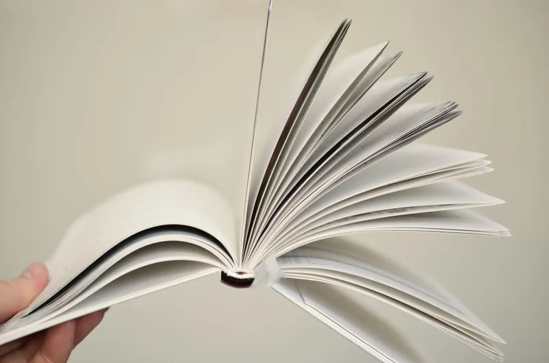 Rules Are for Other Books: When Literary Chaos Becomes a Feature, Not a Bug
