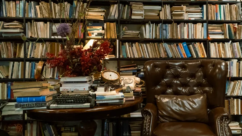 Gone Girl, But Make It an Author: The Unfinished Series That Broke Our Hearts and Melted Our Brains